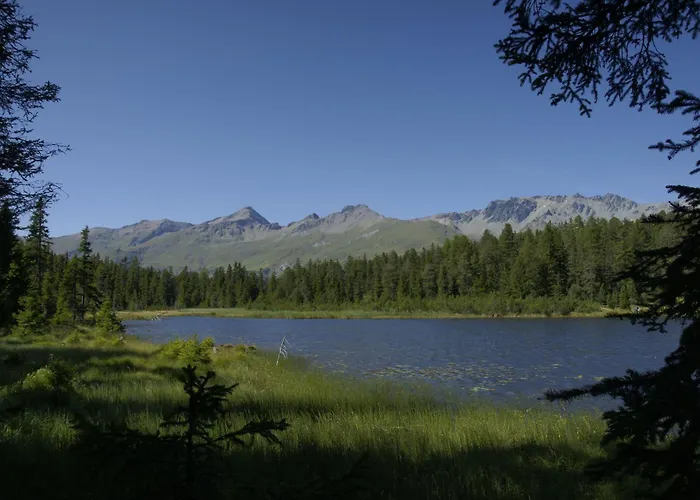 索恩比彻公寓 公寓