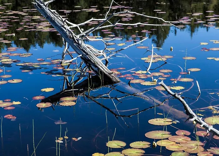 索恩比彻公寓 *