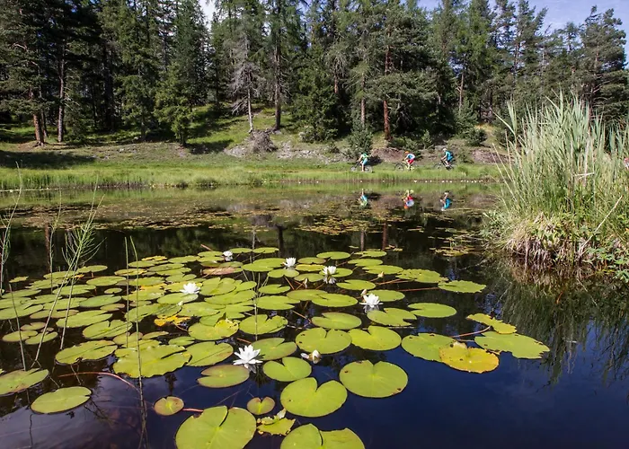 索恩比彻公寓 瑙德斯